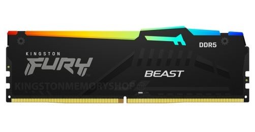 KINGSTON Pamięć DDR5 Fury Beast Black RGB 16GB(1*16GB)/5600 CL36 EXPO - KF556C36BBEA-16