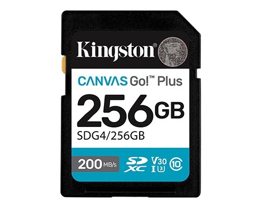 KINGSTON Karta pamięci SD 256GB Canvas Go Plus 200/160 MB/s C10 U3 V30 - SDG4/256GB