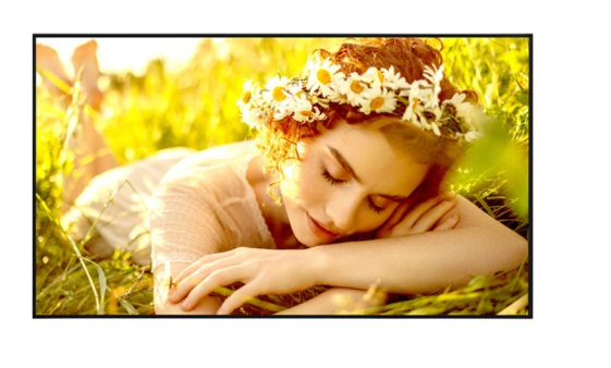LG Monitor wielkoformatowy 65UL5Q-M 500cd/m2 UHD 24/7 - 65UL5Q-M