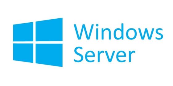 MICROSOFT Oprogramowanie OEM Win Svr CAL 2022 ENG Device 1Clt   R18-06412 Zastępuje P/N: R18-05810 - R18-06412