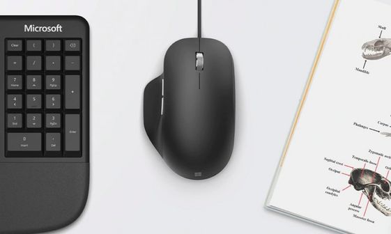 MICROSOFT Mysz MS Ergonomic Mouse USB Black RJG-00003 - RJG-00003