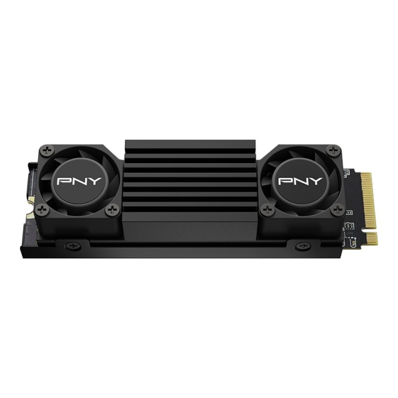 PNY Dysk SSD 1TB M.2 2280 CS3150 M280CS3150HS-1TB-RB BLACK HEATSINK - M280CS3150HS-1TB-RB