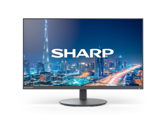 SHARP Monitor MultiSync DD-E224F 22 Czarny  - 60006220