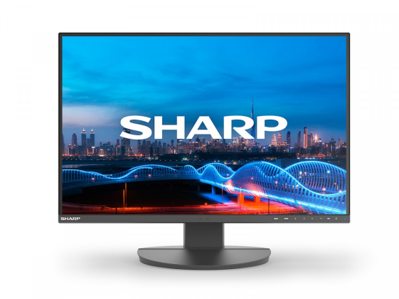 SHARP Monitor biznesowy MultiSync DD-EA241W 24 cale Czarny  - DDEA241W