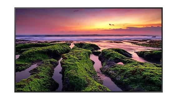SAMSUNG Monitor profesjonalny QB75B 75 cali Błyszczący 16h/7 350(cd/m2) 3840 x 2160 (UHD) S10 Player (Tizen 6.5) Wi-Fi/BT 3 lata d2d (LH75QBBEBGCXEN) - LH75QBBEBGCXEN