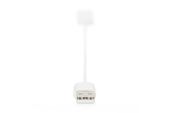 DIGITUS Karta sieciowa przewodowa USB 2.0 do Fast Ethernet 10/100Mbps - DN-10050-1 - Zdjęcie 7