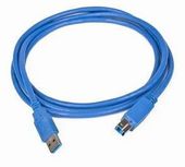 GEMBIRD Kabel USB 3.0 typu AB AM-BM  3m niebieski - CCP-USB3-AMBM-10 - Zdjęcie 1