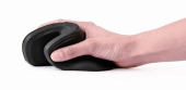 GEMBIRD Mysz ergonomiczna 6 przycisków czarna  - MUSW-ERGO-03 - Zdjęcie 4