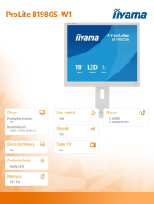 IIYAMA Monitor 19 cali B1980S-W1 HDMI,DP.PIVIOT,HAS/150mm  - B1980S-W1 - Zdjęcie 8