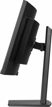 IIYAMA Monitor 34 cale XCB3497WQSNP-B1 + Norton Small Business card 250G PL - XCB3497WQSNP-B1 + Norton.Small.Busin.c - Zdjęcie 11