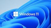 MICROSOFT OEM Win Pro for Wrkstns 11 ENG x64     HZV-00101                Zastępuje: P/N HZV-00055 - HZV-00101 - Zdjęcie 1
