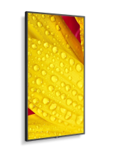 NEC Monitor wielkoformatowy MultiSync M551-2 55 cali UHD 500cd/m2 24/7  - 60006085 - Zdjęcie 4