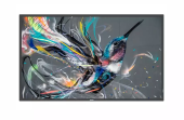 PHILIPS Monitor wielkoformatowy Q-Line 43BDL3550Q 43 cale - 43BDL3550Q/00 - Zdjęcie 1