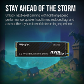 PNY Dysk SSD 1TB M.2 2280 PCi5.0 M280CS3250-1TB-TB - M280CS3250-1TB-TB - Zdjęcie 6