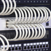 QOLTEC Przepust szczotkowy do szaf RACK 19" | 1U  - 54513 - Zdjęcie 3