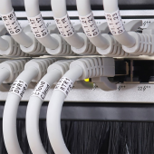 QOLTEC Przepust szczotkowy do szaf RACK 19" | 1U  - 54513 - Zdjęcie 8
