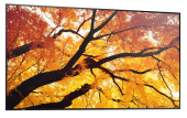 SHARP Monitor wielkoformatowy MultiSync M502 50 cali 550cd/m2 24/7 - PNM502 - Zdjęcie 7