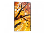 SHARP Monitor M652 65 cali 24/7 550cd/m2  - PNM652 - Zdjęcie 6