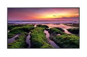 SAMSUNG Monitor profesjonalny QB50B 50 cali Błyszczący 16h/7 350(cd/m2) 3840 x 2160 (UHD) S10 Player (Tizen 6.5) WiFi/BT 3 lata d2d (LH50QBBEBGCXEN) - LH50QBBEBGCXEN - Zdjęcie 1
