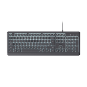 TRUST Klawiatura PRIMO podświetlana USB-A  - 25732 - Zdjęcie 1