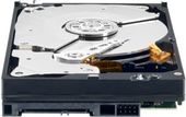 WD HDD Black 1TB 3,5'' 64MB SATAIII/7200rpm - WD1003FZEX - Zdjęcie 1
