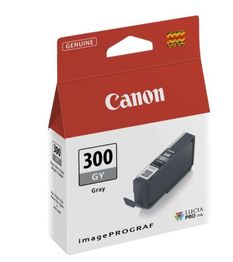 CANON Tusz PFI-300 GY  EUR/OC 4200C001